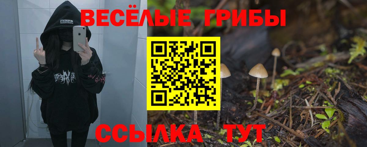 Биробиджан  Галлюциногенные грибы Cubensis  Вход с VPN 